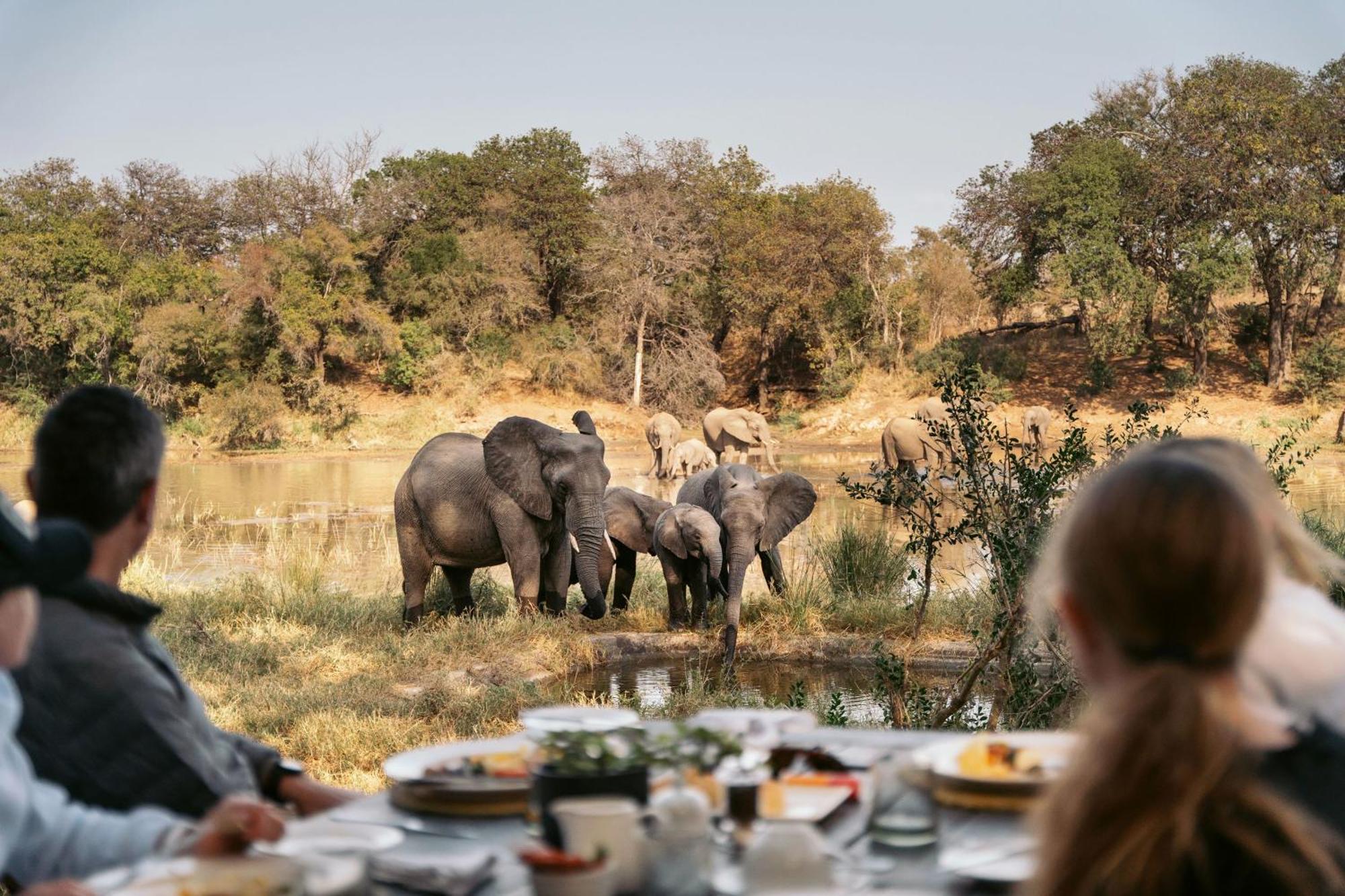 Simbavati River Lodge محمية تيمبافاتي غيم المظهر الخارجي الصورة